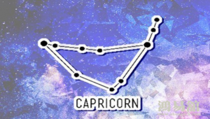 感情最好的星座 能脱单的星座