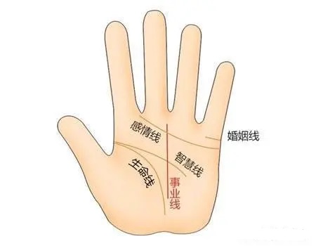 b型血女人的性格特点 B型血女生性格解析