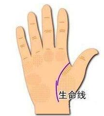 b型血女人的性格特点 B型血女生性格解析