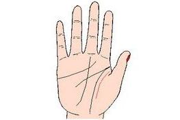 b型血女人的性格特点 B型血女生性格解析