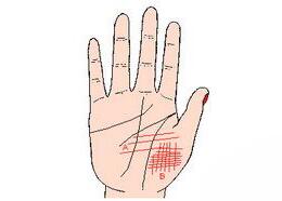 b型血女人的性格特点 B型血女生性格解析