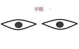 b型血女人的性格特点 B型血女生性格解析