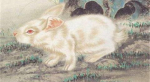 属兔的和属兔的配婚姻怎么样 属兔男和属兔女相配适合做夫妻吗？