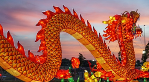 男属龙女属虎结婚好吗 属虎女和属龙男的相配吗婚姻好吗？