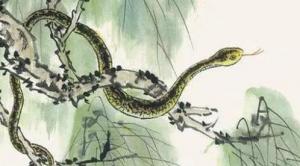 属猴女和属蛇男相配吗 ？属猴女和属蛇男情感配对状况？