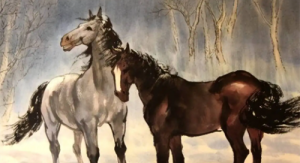 属马男配属狗女相配吗 属狗女和属马男情感跟婚姻状况怎么样？