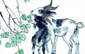 女属狗男属羊婚姻状况 属狗女和属羊男情感配对状况？婚姻状况？