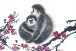 属鼠女和属猴男相配吗 属猴男和属鼠女情感配对状况？