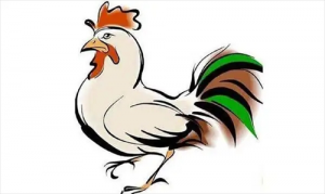 男鸡和女兔子属相婚配合不合 属兔的和属鸡的相配吗？