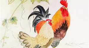 属龙女和属鸡男婚姻如何 龙和鸡属相合不合相配吗？