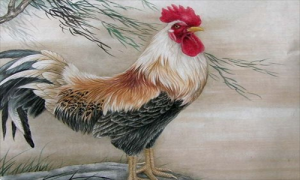 女属羊和男属鸡的相配合婚吗 男属鸡和女属羊情感配对状况？属相合吗适合做夫妻吗？