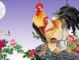 属鸡男和属鸡女的婚姻配吗？