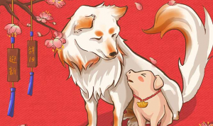 属兔子的跟属狗的配吗 男狗和女兔合不合相配吗？