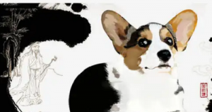 男属狗和女属龙相配吗？