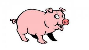 属猪男的和属虎女的相配吗 猪跟虎的属相合不合婚姻怎么样？