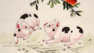 属猪男和属兔女的婚姻怎么样 属兔和属猪的属相相配吗？