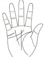 b型血女人的性格特点 B型血女生性格解析