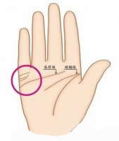 b型血女人的性格特点 B型血女生性格解析