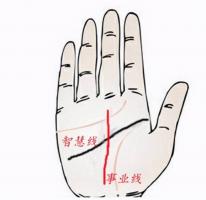 b型血女人的性格特点 B型血女生性格解析