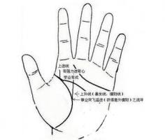 b型血女人的性格特点 B型血女生性格解析