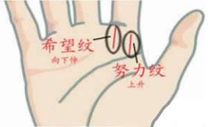 b型血女人的性格特点 B型血女生性格解析