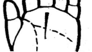 b型血女人的性格特点 B型血女生性格解析