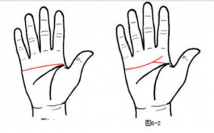 b型血女人的性格特点 B型血女生性格解析
