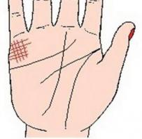 b型血女人的性格特点 B型血女生性格解析