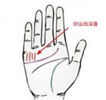 b型血女人的性格特点 B型血女生性格解析