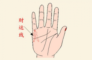 b型血女人的性格特点 B型血女生性格解析