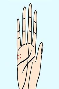 b型血女人的性格特点 B型血女生性格解析