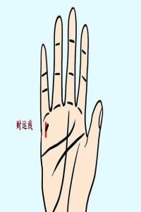 b型血女人的性格特点 B型血女生性格解析