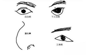 b型血女人的性格特点 B型血女生性格解析