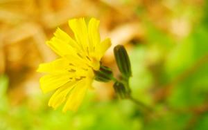 b型血女人的性格特点 B型血女生性格解析