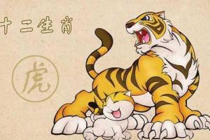 属狗男和属虎女配吗,属狗男和属虎女情感配对状况? 