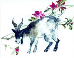 属羊男和属虎女配吗?属羊男和属虎女情感配对状况？