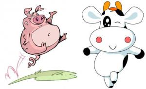 属牛女和属猪男配吗,属猪男和属牛女情感配对状况?