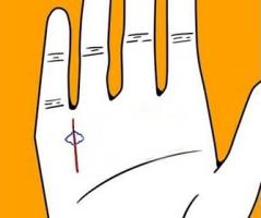 b型血女人的性格特点 B型血女生性格解析