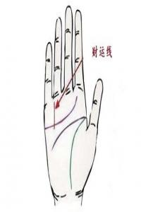 b型血女人的性格特点 B型血女生性格解析