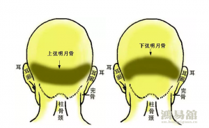 b型血女人的性格特点 B型血女生性格解析