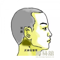 b型血女人的性格特点 B型血女生性格解析