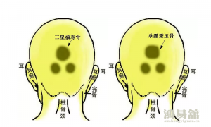 b型血女人的性格特点 B型血女生性格解析