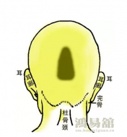 b型血女人的性格特点 B型血女生性格解析