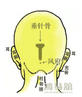 b型血女人的性格特点 B型血女生性格解析