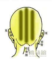 b型血女人的性格特点 B型血女生性格解析