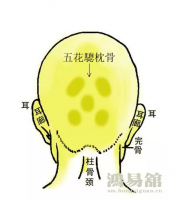 b型血女人的性格特点 B型血女生性格解析