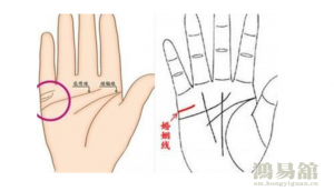 b型血女人的性格特点 B型血女生性格解析