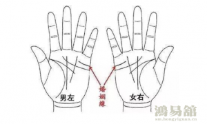 b型血女人的性格特点 B型血女生性格解析