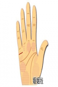 b型血女人的性格特点 B型血女生性格解析