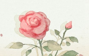 八字看子女是否聪明，时柱坐四大贵人